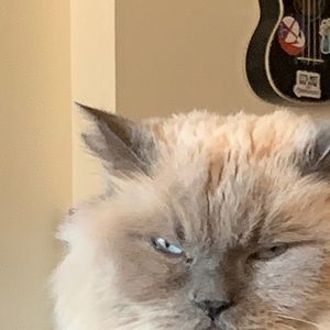 Meet your Posher, Brendan